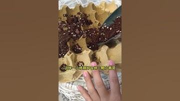 家里装鸡蛋的纸盒还能用来种菜