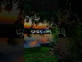 قرأن كريم تلاوة عطرة Foryou اكسبلور المصحف قرآن دويتو سورة Viral قرأن كريم تلاوة عطرة Foryou اكسبلور المصحف قرآن دويتو سورة Viral