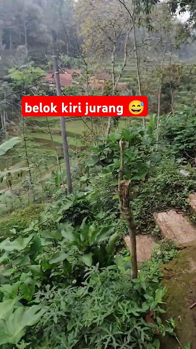 belok kiri rumah janda @explorerjalanan1873 #smartphone #vidioshort #sadstorywa #google