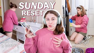 SUNDAY RESET: deep cleaning *everything*, slow feeder prep, &amp; laundry day | + new coffee station!