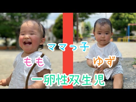 双子育児 1才 双子 ママっ子の2人 Youtube