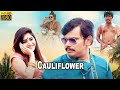 Cauliflower full movie  sampoornesh babu vasanthi krishnan  telugu talkies