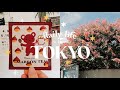 A Day in My Life in Tokyo Japan Vlog 🍂 the arrival of Autumn