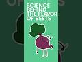 Science Behind the Flavor of Beets #shorts