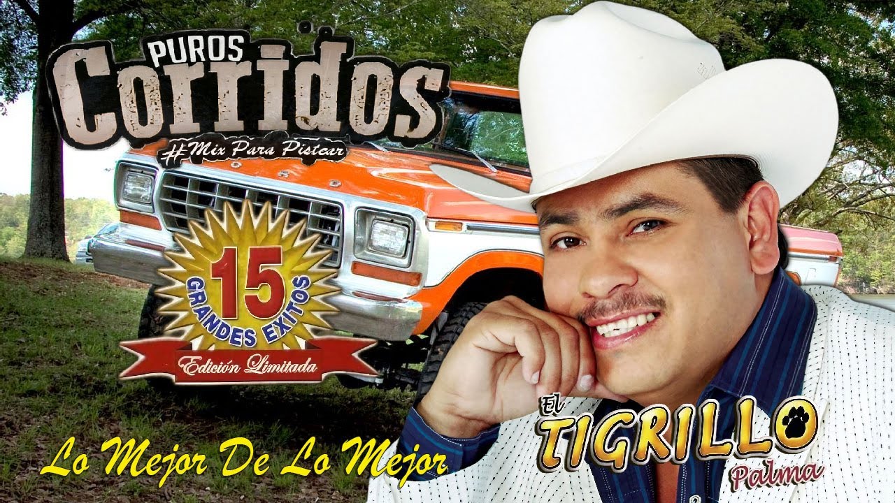 El Tigrillo Palma - Puros Corridos Pesados Mix - Los 20 Mejores Corridos y Canciones