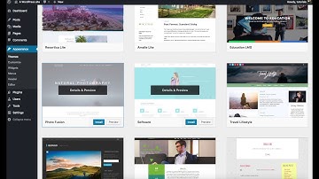Installing a WordPress Theme (2 Options)