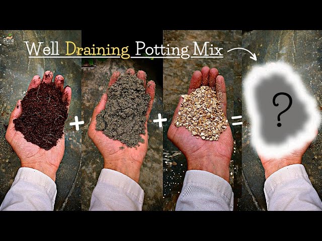 Livlig emne praktiserende læge How to make a Well Draining Potting Mix for Plants? (7 Soil Amendments*) -  YouTube