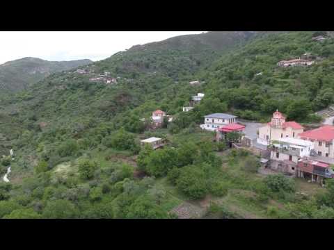 Alagonia - Greece - Taygetos Greckos