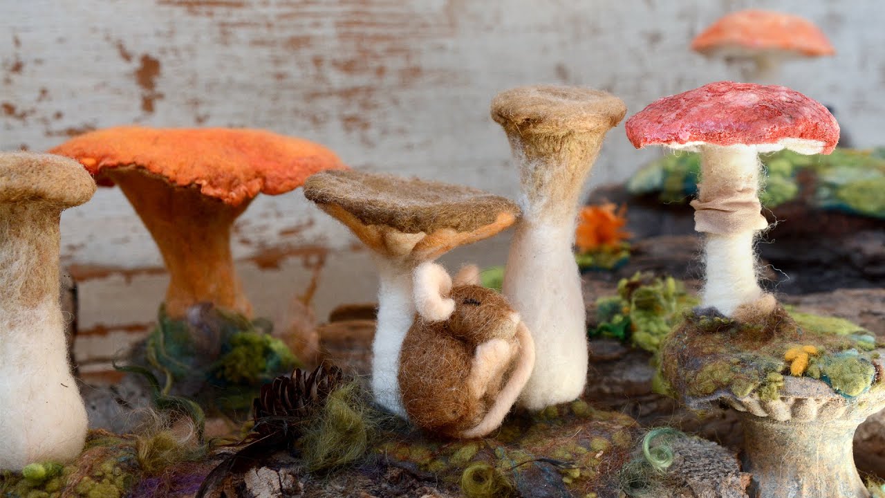 Mushrooms and Forest Floor Felt Along