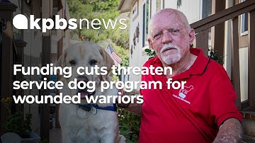 Funding cuts threaten service dog program for wounded warriors