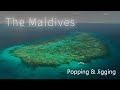Popping & Jigging - The Maldives 2021