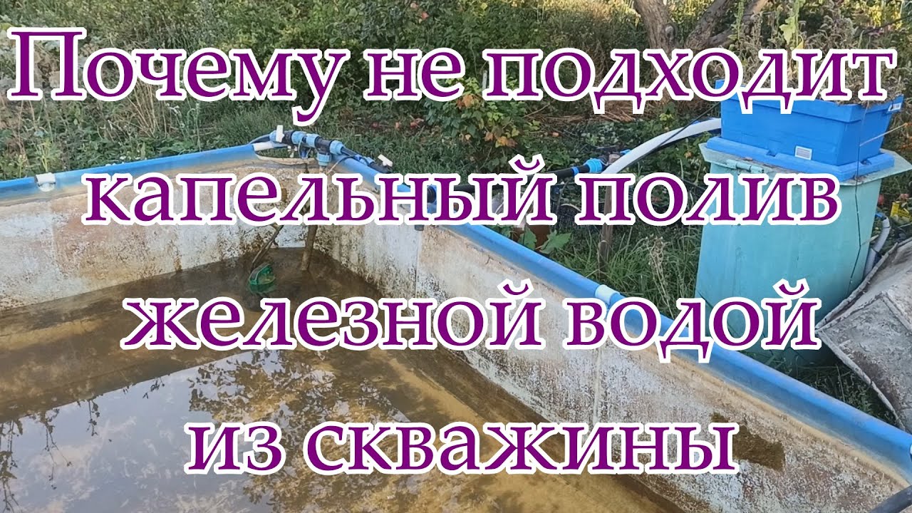 Можно ли поливать водой из скважины. Можно ли поливать растения сразу водой из скважины.