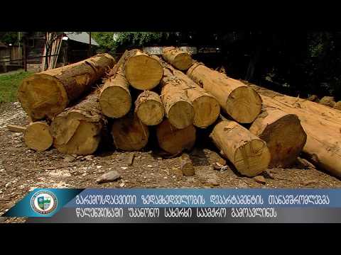 წალენჯიხაში უკანონო სახერხი საამქრო გამოვლინდა