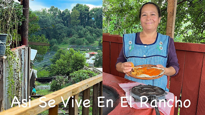 Como Hacer Tortitas De Nopales Con Queso, Asi Se Vive En El Rancho