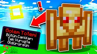 Minecraft'ta AŞIRI GARİP TOTEMLER VAR!!