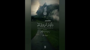 ﴿فستذكرون ما أقول لكم وأفوض أمري إلى الله إن الله بصير بالعباد﴾ [غافر: ٤٤] #قرآن #تلاوة