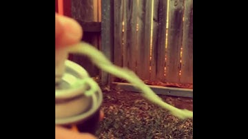 Silly string fun in quarantine