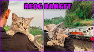 Auto Reog Rusuh Bangrt Liat Kreta Lewat