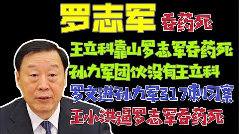 【国务院海外发言人】：公安部党委书记、部长：王小洪，逼前江苏省委书记罗志军吞药死。王立科案彻底结束。“台北时间2023.4.3 9:30” - 天天要闻