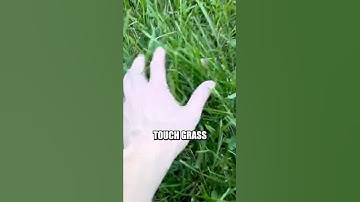 I Touched Grass and Things Got Out of Hand #shorts #gamedev #gamejam