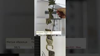 Пряжки COBRA против ROC - какие лучше? #новости #бронежилет #army #reels #бронежилет