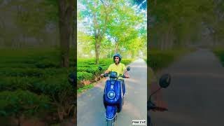 Pink EvE, Babupara, Falakata, Alipurduar