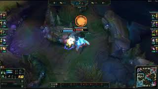 Warwick 1000IQ Flash