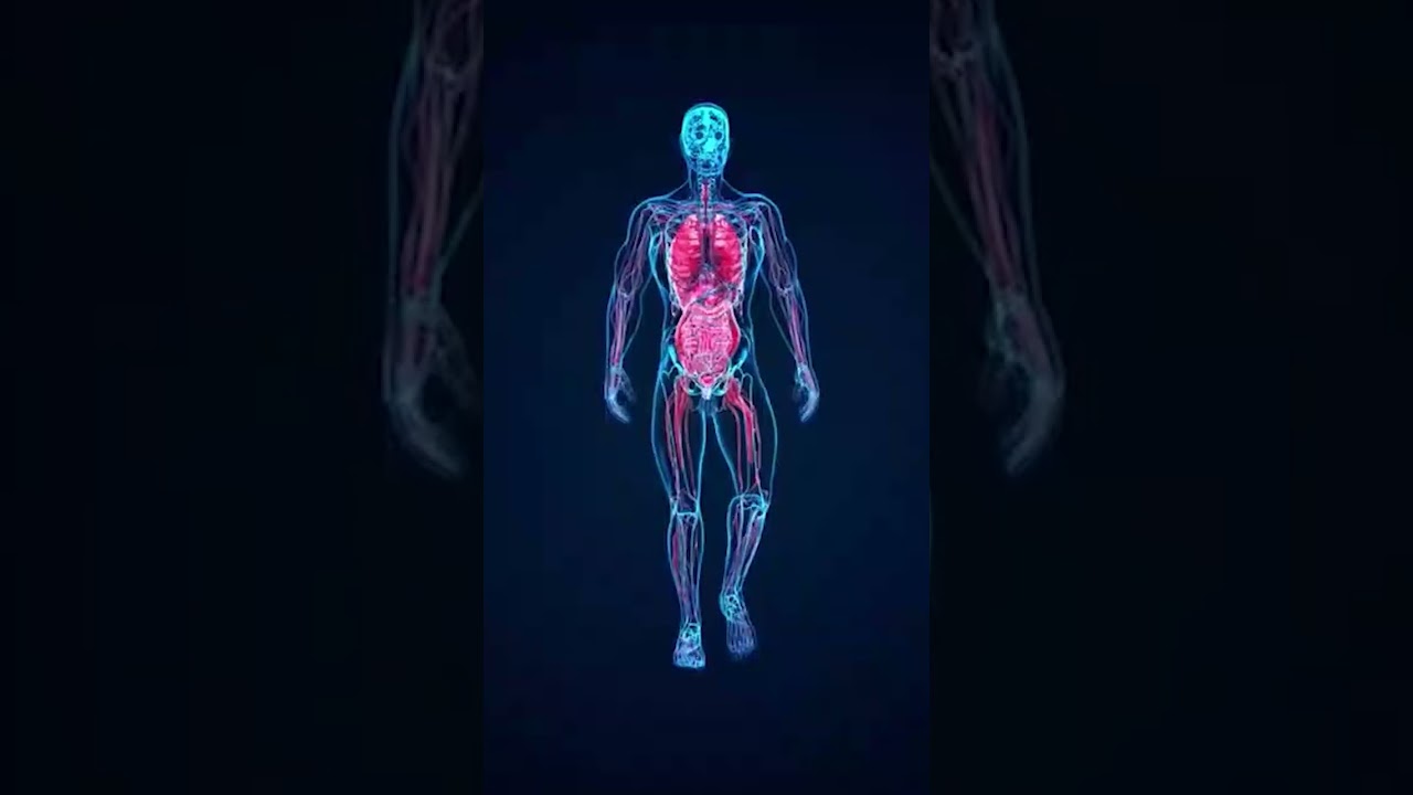 "Prostate Wellness Unveiled"