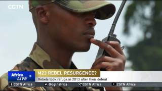 Uganda, AU, UN to meet with Congolese rebels to discuss threat