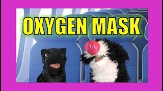 Oxygen Mask:  George the Self Esteem Cat