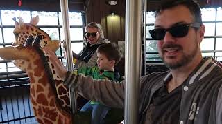 A birthday zoo trip
