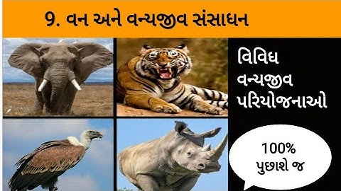 STD 10 Sub Social Science Ch 9 વન અને વન્યજીવ સંસાધન,Wildlife Projects, વિવિધ વન્યજીવ પરીયોજનાઓ GSEB