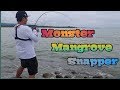 FISHING FOR MONSTER SNAPPER|BEST LURE FOR SNAPPER|MICRO JIGGING