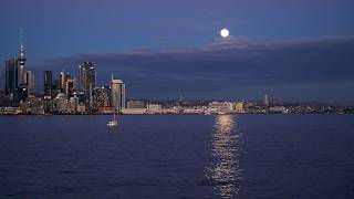 Auckland Before Sunrise 4K