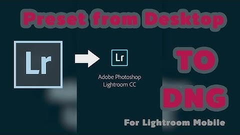 HOW TO Make DNG Preset to Lightroom Mobile.