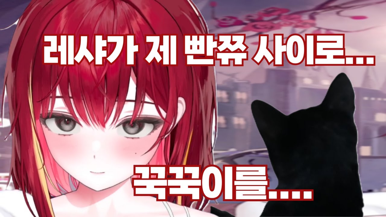 저 녀석 고양이가 아닐지도 몰라