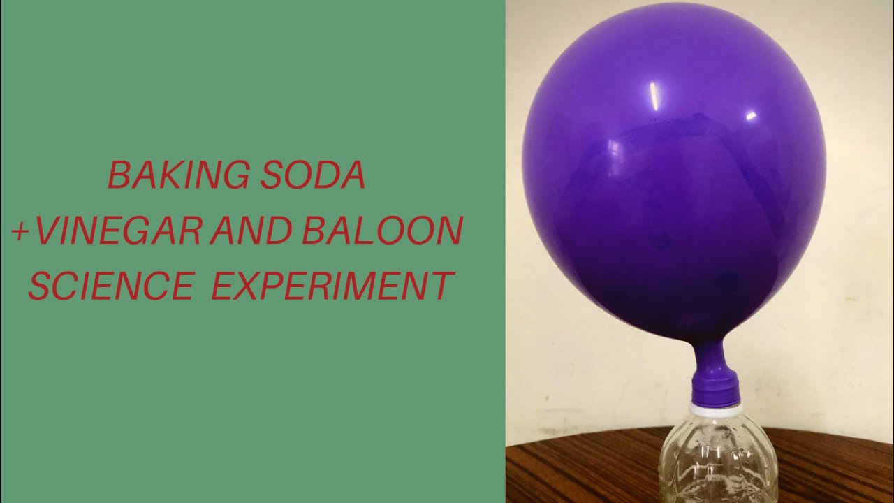 Balloon and Baking Soda +Vinegar Experiment YouTube