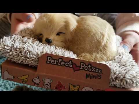 perfect-petzzz-pets-mini-realistic-sleeping-dog-toy-review