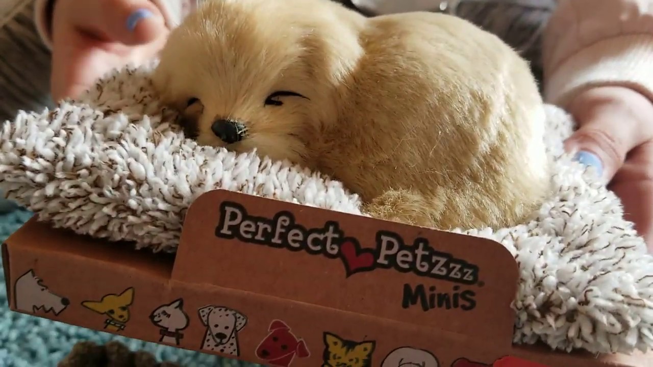 Perfect Petzzz Pets Mini Realistic 