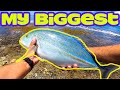 Fishing at Disney in Hawaii | Live Bait From Shore | Fishing in Hawaii | Hawaii Fishing | Papio