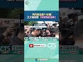 王大陸閃兵案