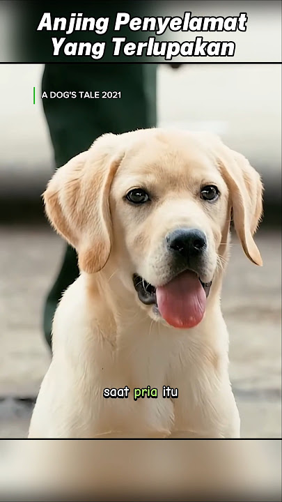 PART 01: ENDLESS LOYALTY