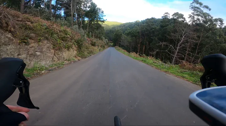 Madeira ~ Prazeres downhill (bottom)