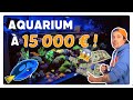 Aquarium  100 euros vs aquarium  15000 euros  toopet