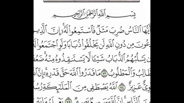 سورة الحج من الآية 73 إلى الآية 76 بصوت القارىء الشيخ ياسر الدوسرى