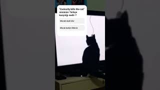 Bu Sözün Türkçe Karşılığı Nedir Acaba ?