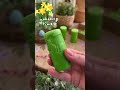 Unboxing Let’s Roll - Seasons #handeyecoordination #exploringnature #natureinspired #lifecycles