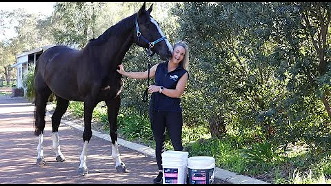 Kentucky Equine Research - Equishure