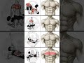 “Chest Workout for Maximum Growth | Best Dumbbell Exercises to Build a Bigger, Stronger.