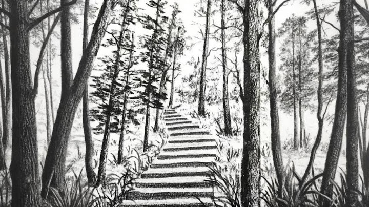 Have you learned the steps in the woods?